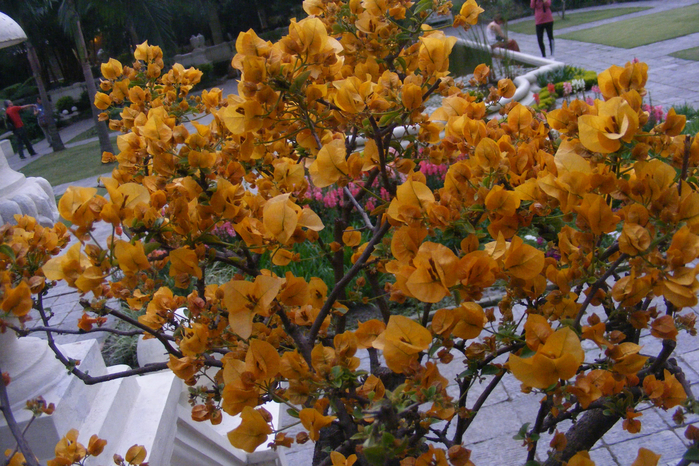 DSCF9749 (700x466, 559Kb)