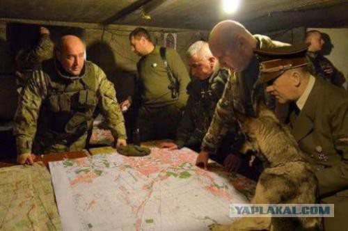 НАТО готовится ввести войска в Донбасс