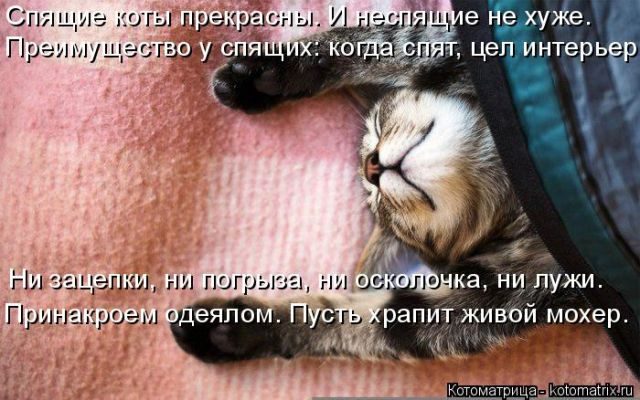 Лучшие котоматрицы за прошедшую неделю)) Лучшие котоматрицы за прошедшую неделю))