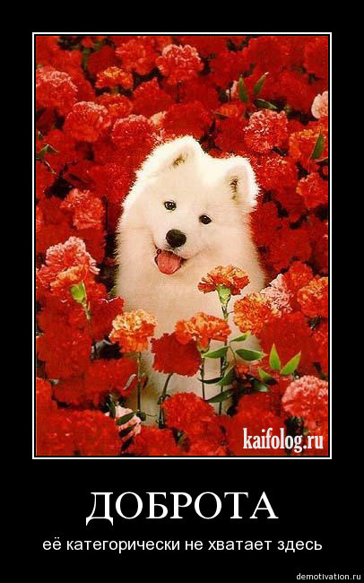 Жесткие демотиваторы-4 (50 фото)