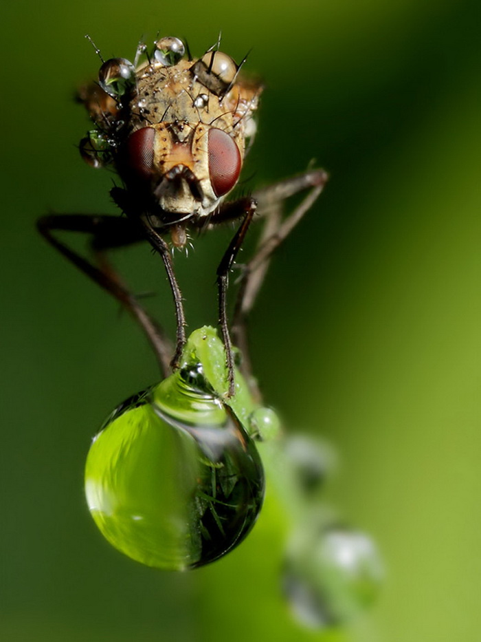 ��������������� John Cogan