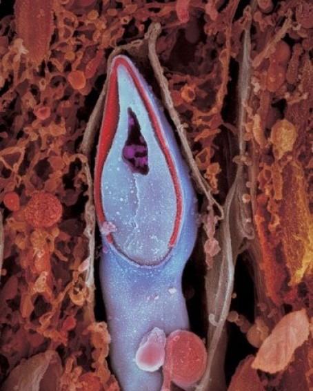 ���������� ������: ����� �������� - ������������ �� �������� ����.