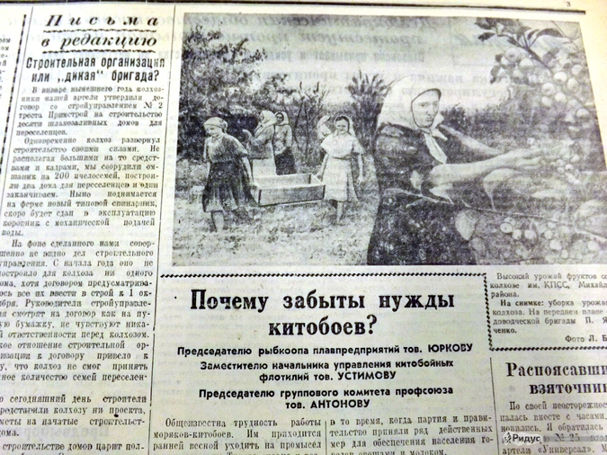 ������ ������ ��������: � ��� ������ ������ � 1956-�