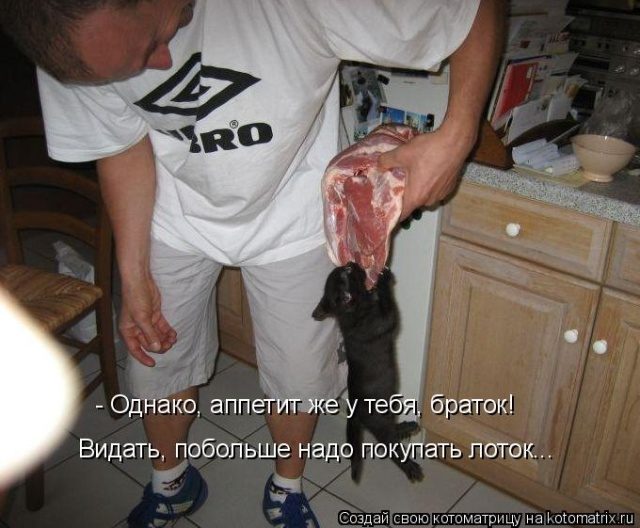 Самые смешные котоматрицы для хорошего настроения) Самые смешные котоматрицы для хорошего настроения)