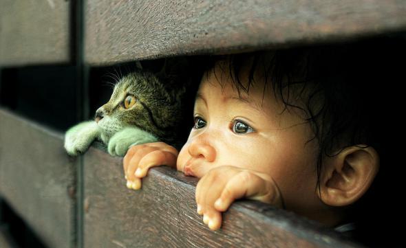 Позитивные обои для рабочего стола - Настоящая дружба