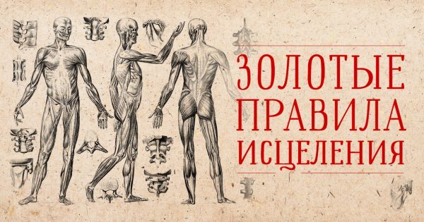 thumb-600x315 (3)