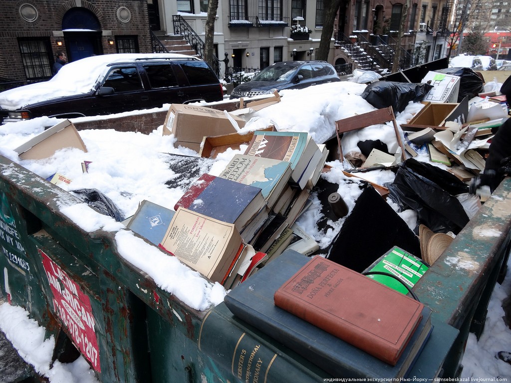 Удивительные находки в нью-йоркском мусорном контейнере