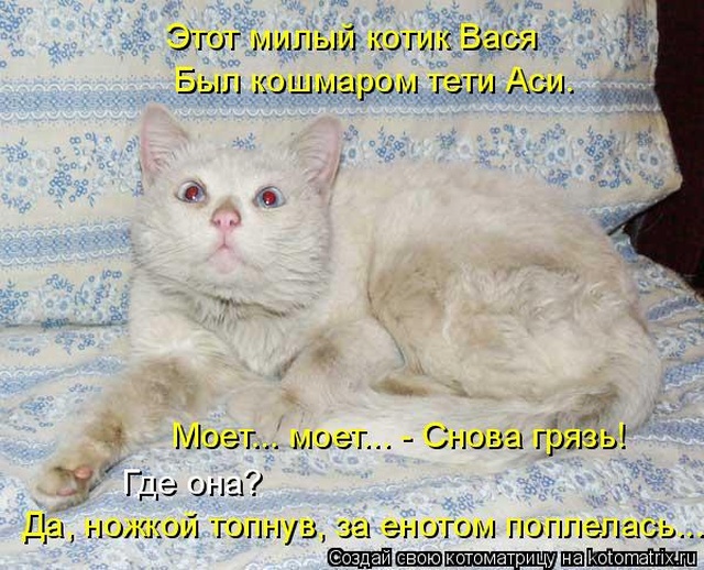 Лучшие котоматрицы недели Лучшие котоматрицы недели