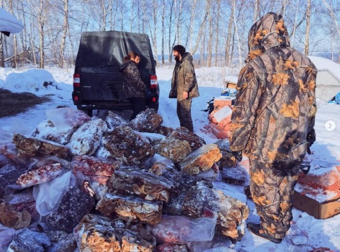 Успешный фотограф Дарья Пушкарева бросила всё и уехала жить в лес. И на то есть веская причина. Успешный фотограф Дарья Пушкарева бросила всё и уехала жить в лес. И на то есть веская причина.