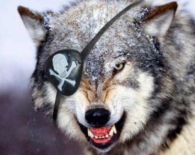 Классификация мужчин