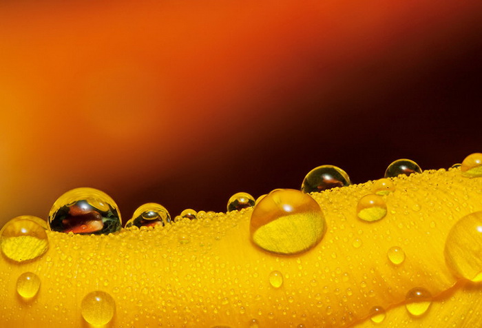 ��������������� John Cogan