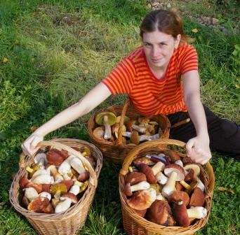 Своими руками или как заработать в деревне Своими руками или как заработать в деревне