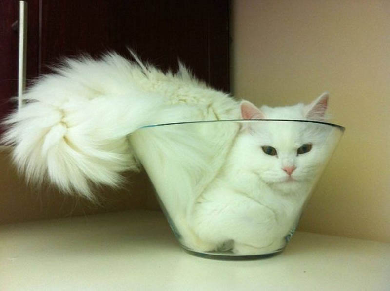 520         
