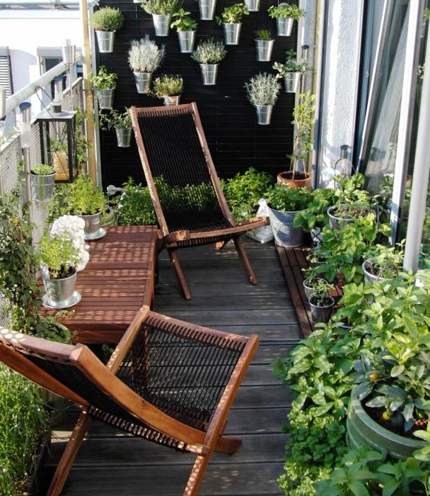 Много зелени — тоже хорошо. /Фото: balkon-info.ru Много зелени — тоже хорошо. /Фото: balkon-info.ru
