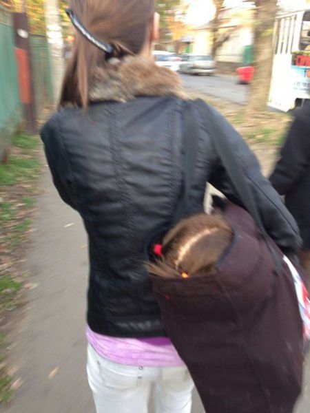 Россия, позитив, моменты, кадр