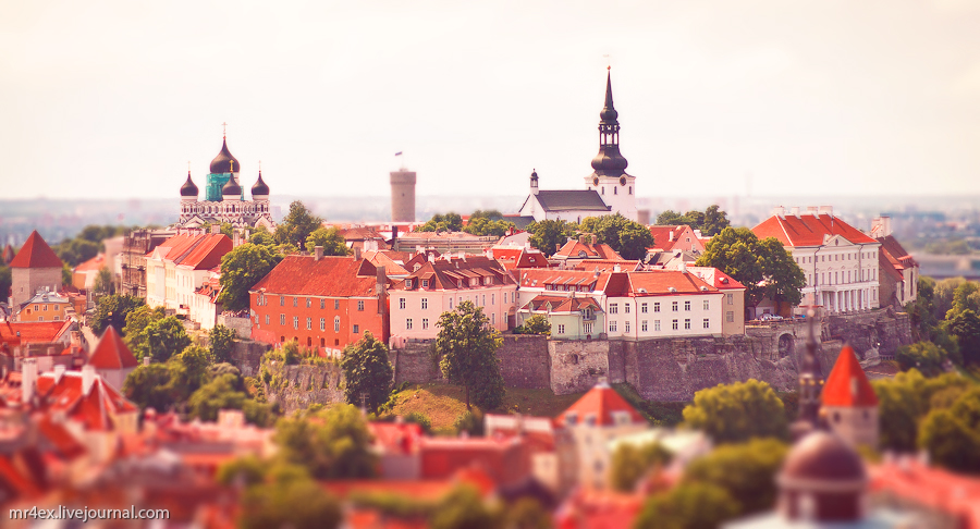 Tallinn Est Mini "sunny"