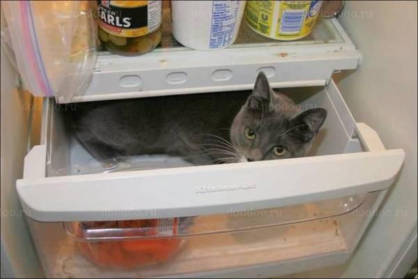 ��� � ������������