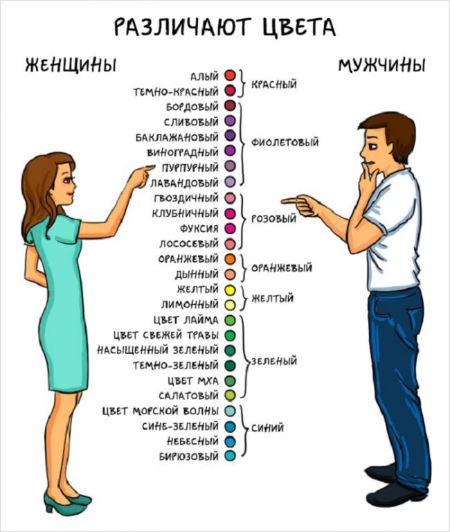 13 веселых иллюстраций о главных различиях между мужчиной и женщиной 13 веселых иллюстраций о главных различиях между мужчиной и женщиной