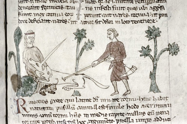 Средневековые бестиарии: Рукопись Бодлеянской библиотеки