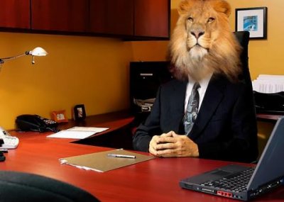 Классификация мужчин