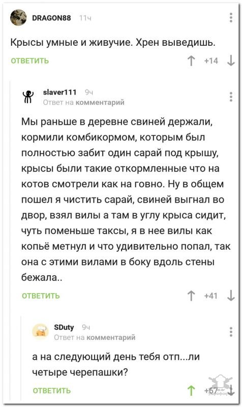 Прикольные комментарии из социальных сетей Прикольные комментарии из социальных сетей