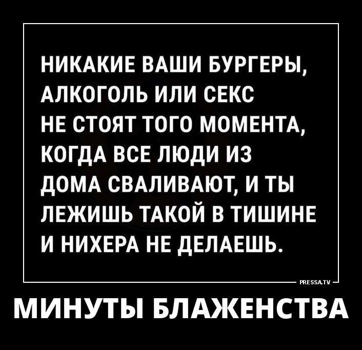 ДЕМОТИВАТОРЫ + ДЕМОТИВАТОРЫ +