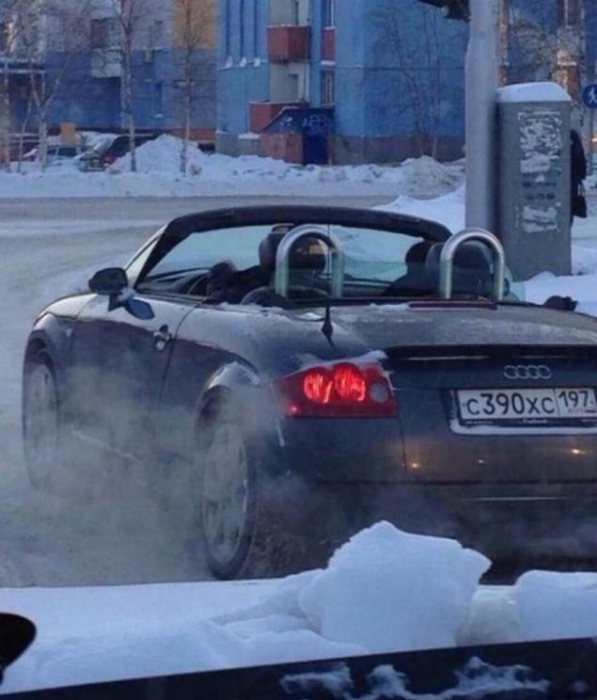 Суровый житель Сургута. Суровый житель Сургута.