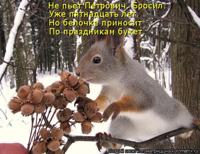 Лучшие котоматрицы недели Лучшие котоматрицы недели
