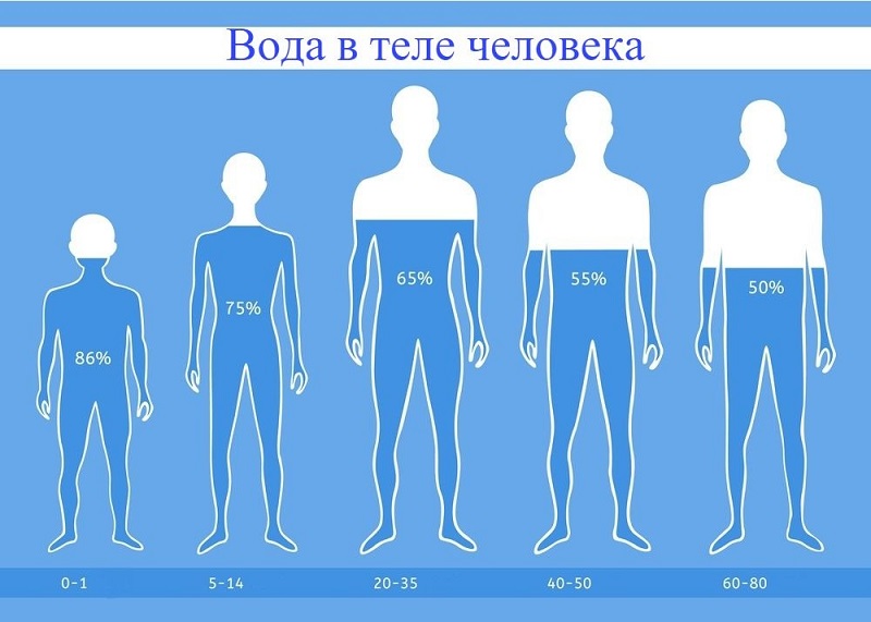 Сколько нужно пить воды в день