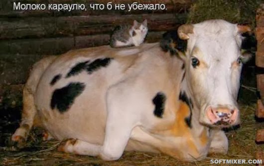 44b45339058d407a3c215e982ff_prev