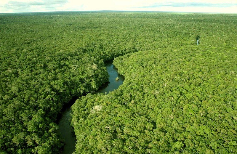 Amazonas01 Amazonas01 Большое фотопутешествие по лесам Амазонки