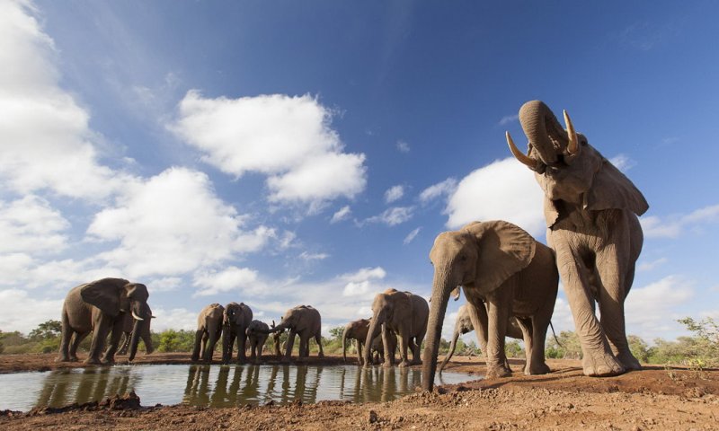 Подборка замечательных фотографий от National Geographic