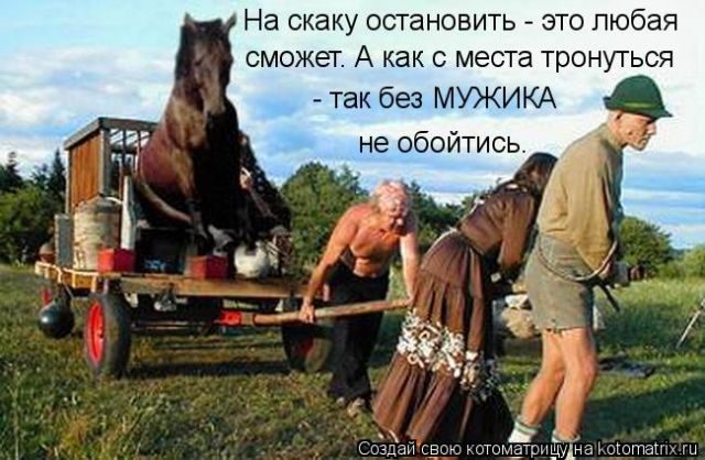 Лучшие котоматрицы за прошедшую неделю)) Лучшие котоматрицы за прошедшую неделю))