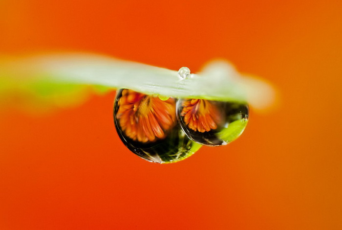 ��������������� John Cogan