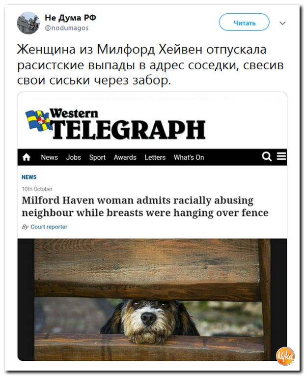 Соцсети жгут!!! Обзор ситуации в мире в ехидных скриншотах Соцсети жгут!!! Обзор ситуации в мире в ехидных скриншотах