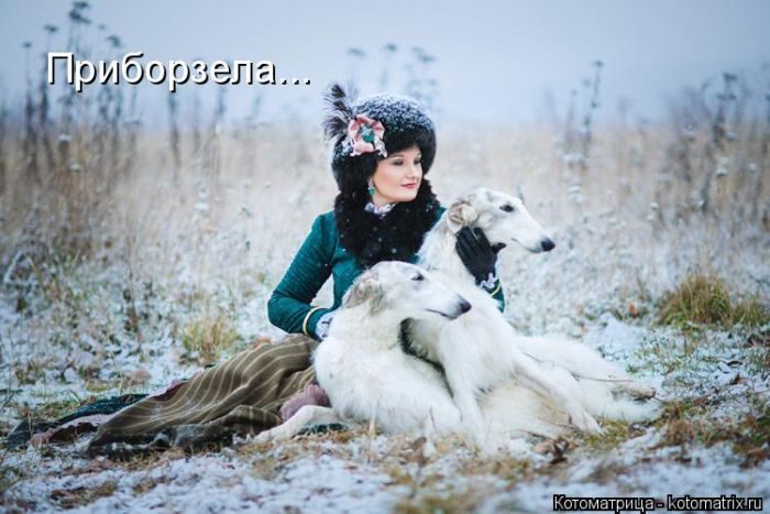 Лучшие котоматрицы недели