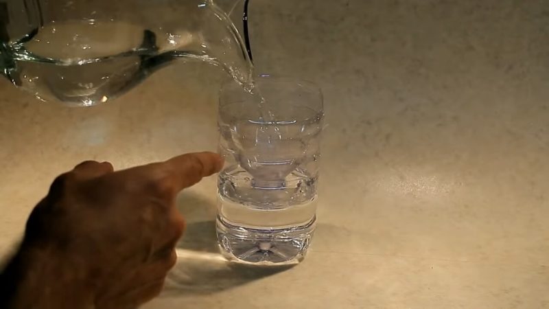 Положите грецкий орех в бутылку и удивитесь результату