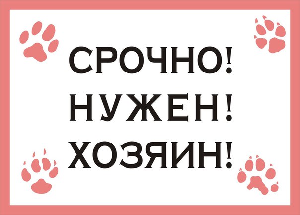 Кому настоящее кошачье счастье?! Кому настоящее кошачье счастье?!