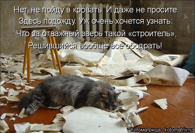 Самые смешные котоматрицы для хорошего настроения) Самые смешные котоматрицы для хорошего настроения)