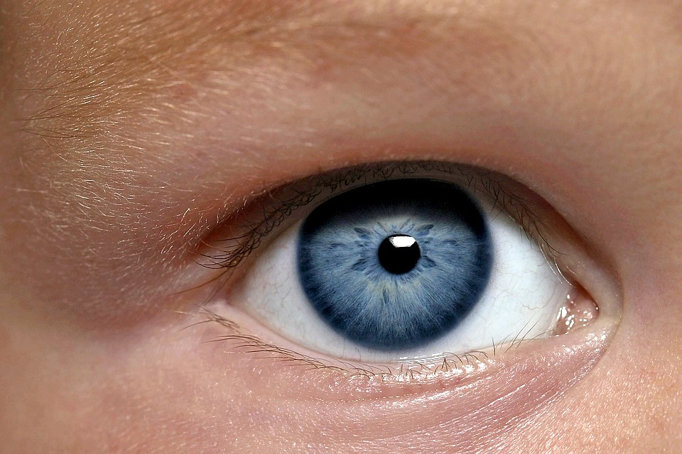 Об опыте реинкарнации может рассказать радужка глаз. Фото: GLOBAL LOOK PRESS