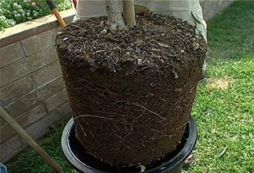 Самые красивые пляжи 86 Самые красивые пляжи 59