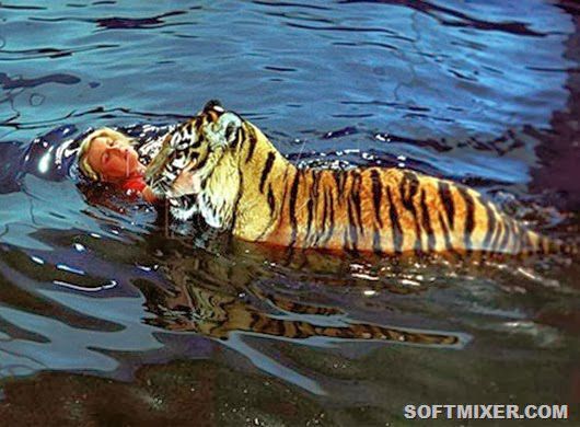 Полосатый рейс, фильм