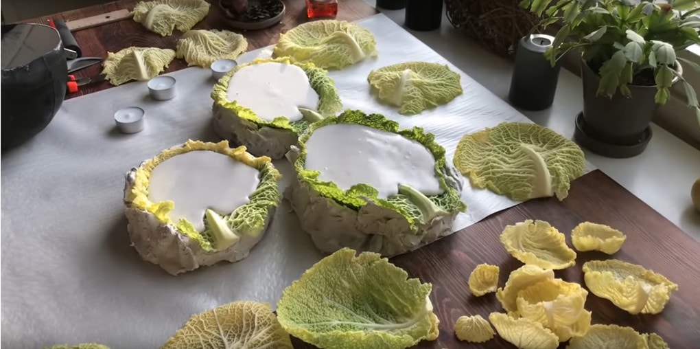 Вот как капуста может украсить ваш дом. Изящная вещь из капустного листа Вот как капуста может украсить ваш дом. Изящная вещь из капустного листа