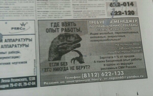 В поисках работы? А вы говорите в интернете ерунду пишут!
(21 фото)