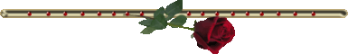 (385x60, 4Kb)