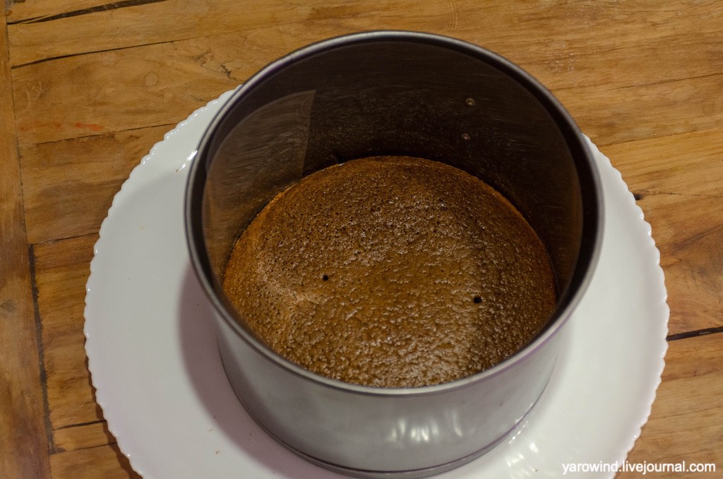 DSC_9490.jpg DSC_9490.jpg