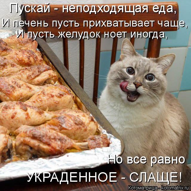 Самые смешные котоматрицы для хорошего настроения) Самые смешные котоматрицы для хорошего настроения)