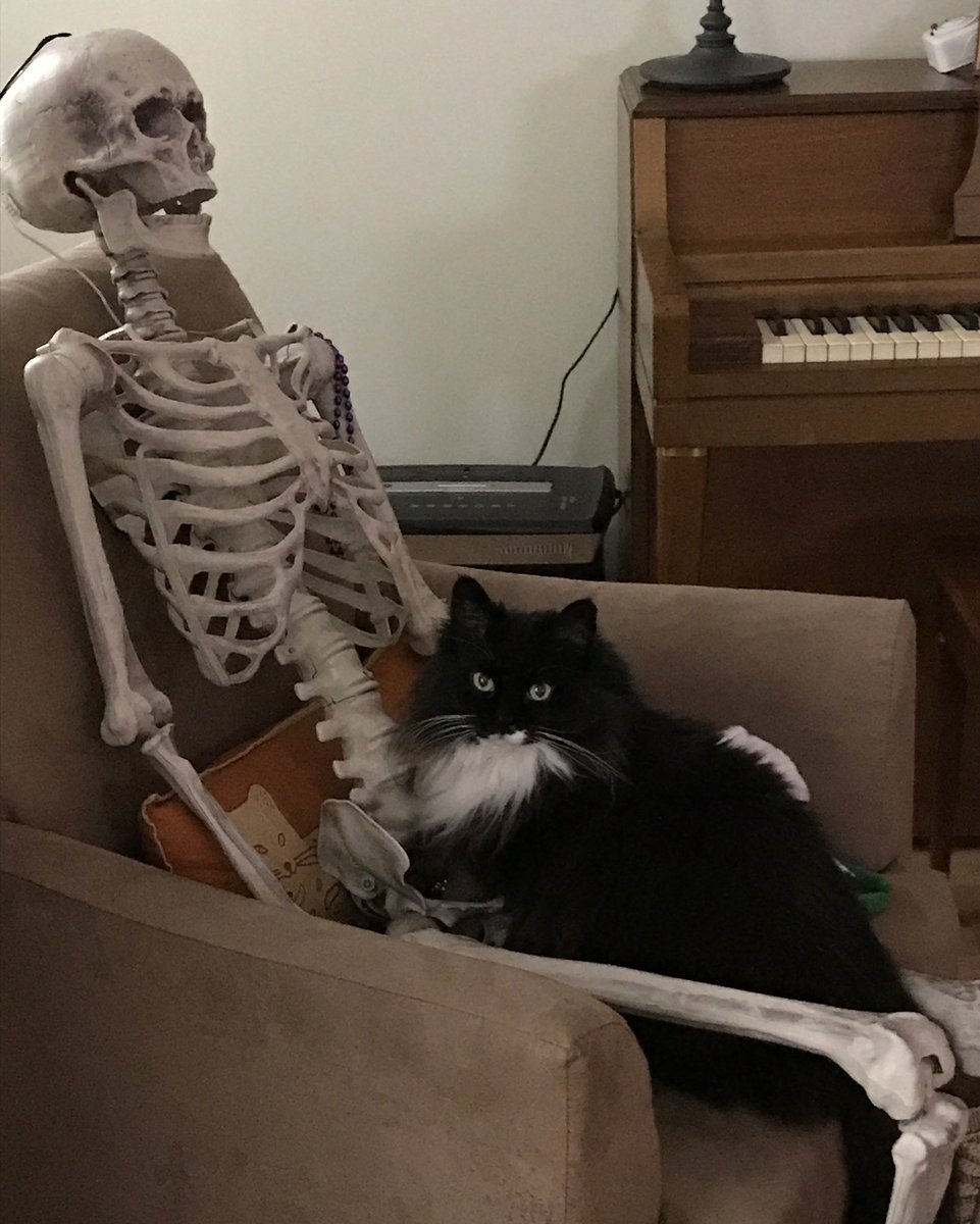 скелет сидит на стуле