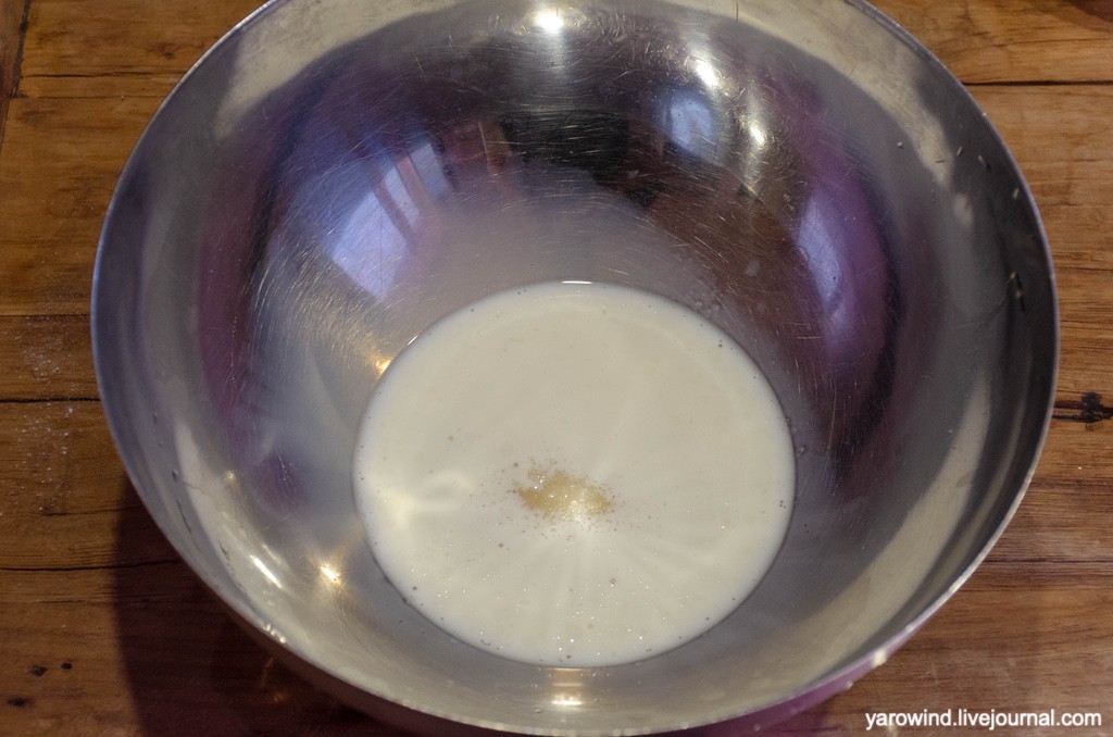 DSC_9479.jpg DSC_9479.jpg