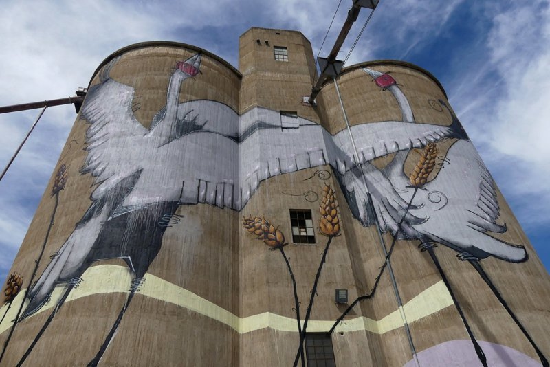 «Сило-арт» — масштабные граффити на элеваторах и зернохранилищах граффити, искусство, стрит-арт, художники, элеватор, эстетика